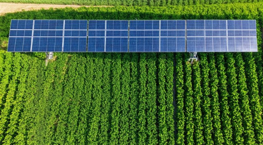 Aerial view of a farm with solar panels elevated above green crops, demonstrating the integration of solar energy and agriculture.