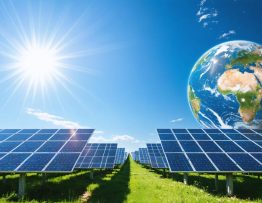 Array of solar panels in a field under a clear sky, illuminated by bright sunlight, symbolizing solar energy as a renewable solution against climate change.