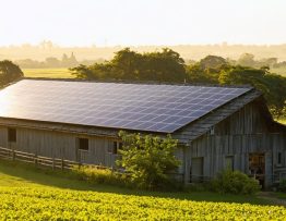 Sunlit farm with solar panels on rooftops and fields, illustrating the integration of solar energy into agricultural operations.