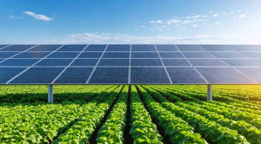 Conceptual illustration of an agricultural field with solar panels raised above rows of green crops, illustrating the integration of solar energy with agriculture for increased crop yield and renewable energy production.