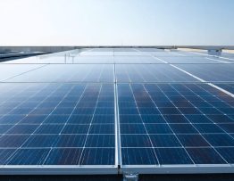 "Array of solar panels on a commercial rooftop with a clear sky and urban skyline in the background."