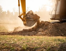Image 1 from The Biggest Excavator (1).jpg